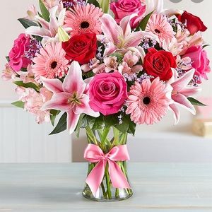 Meet your Posher, Dianna